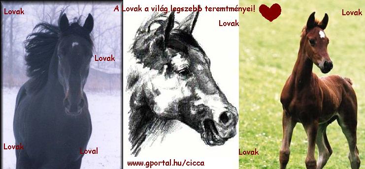 lovak-ponik